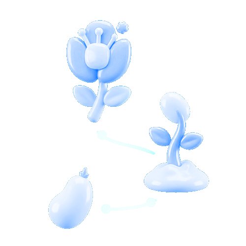 Scale